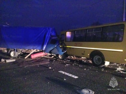 На трассе М10 в Крестецком районе Газель врезалась в школьный автобус