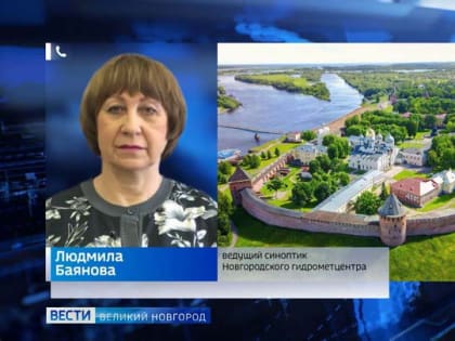 В Новгородской области сохранится неустойчивый характер погоды с дождями разной интенсивности