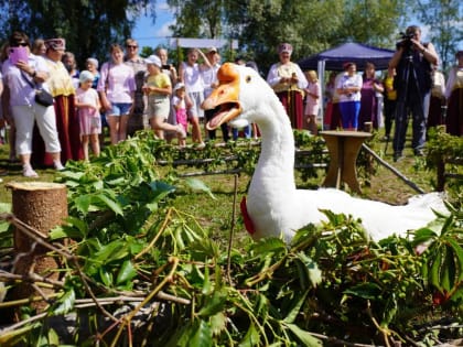 В Волоте пройдёт фестиваль «Гусиные бега»