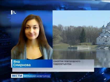 Очередной циклон снова принесёт в Новгородскую область дождливую и ветреную погоду