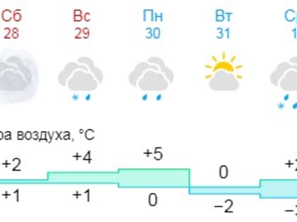 Новгородцам рассказали о погоде в последние субботу и воскресенье 2024 года
