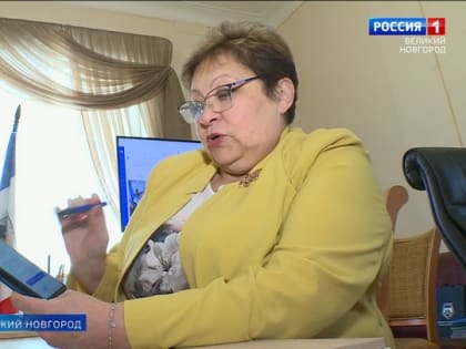 На выборах в Новгородской области впервые появилась возможности дистанционного голосования