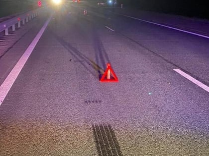 Следователи устанавливают обстоятельства гибели пешехода на новгородском участке трассы М-10