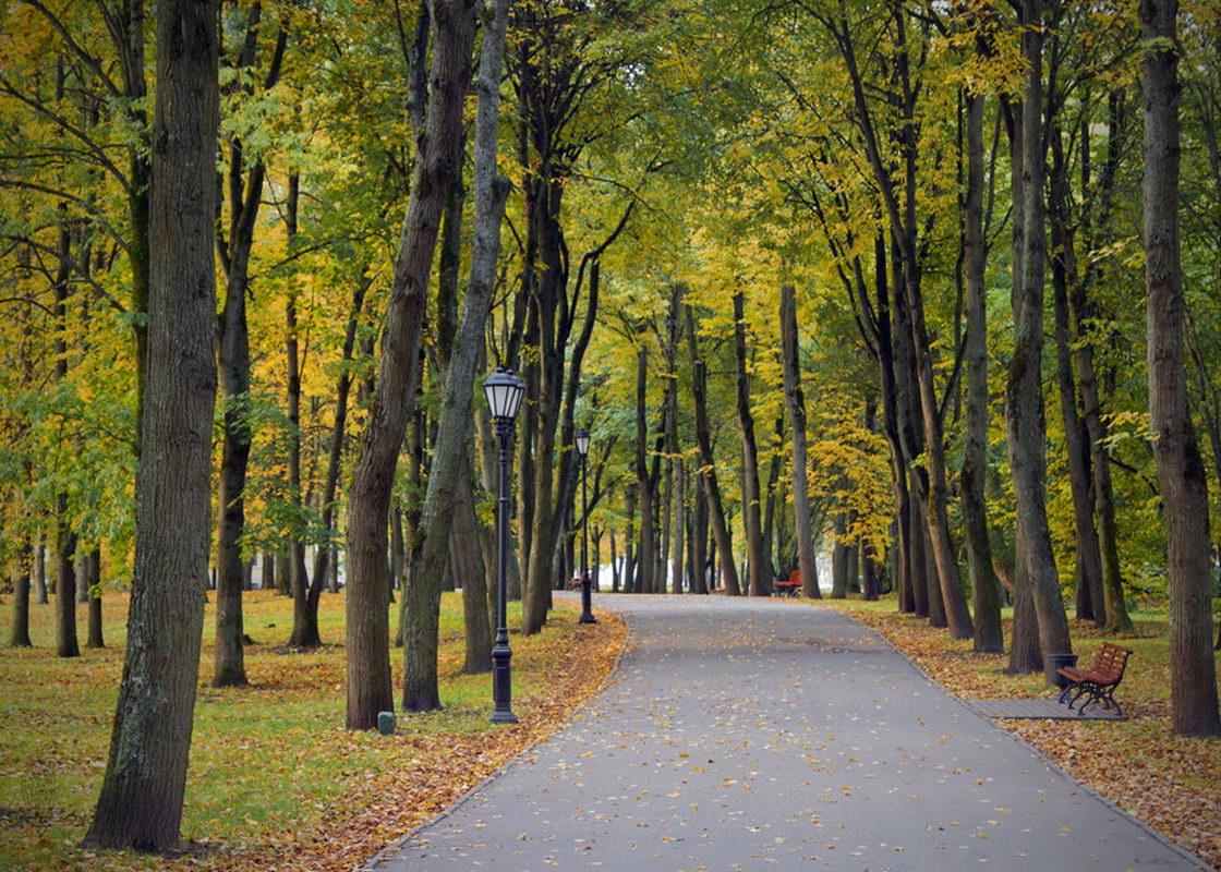 Сайт парки великого