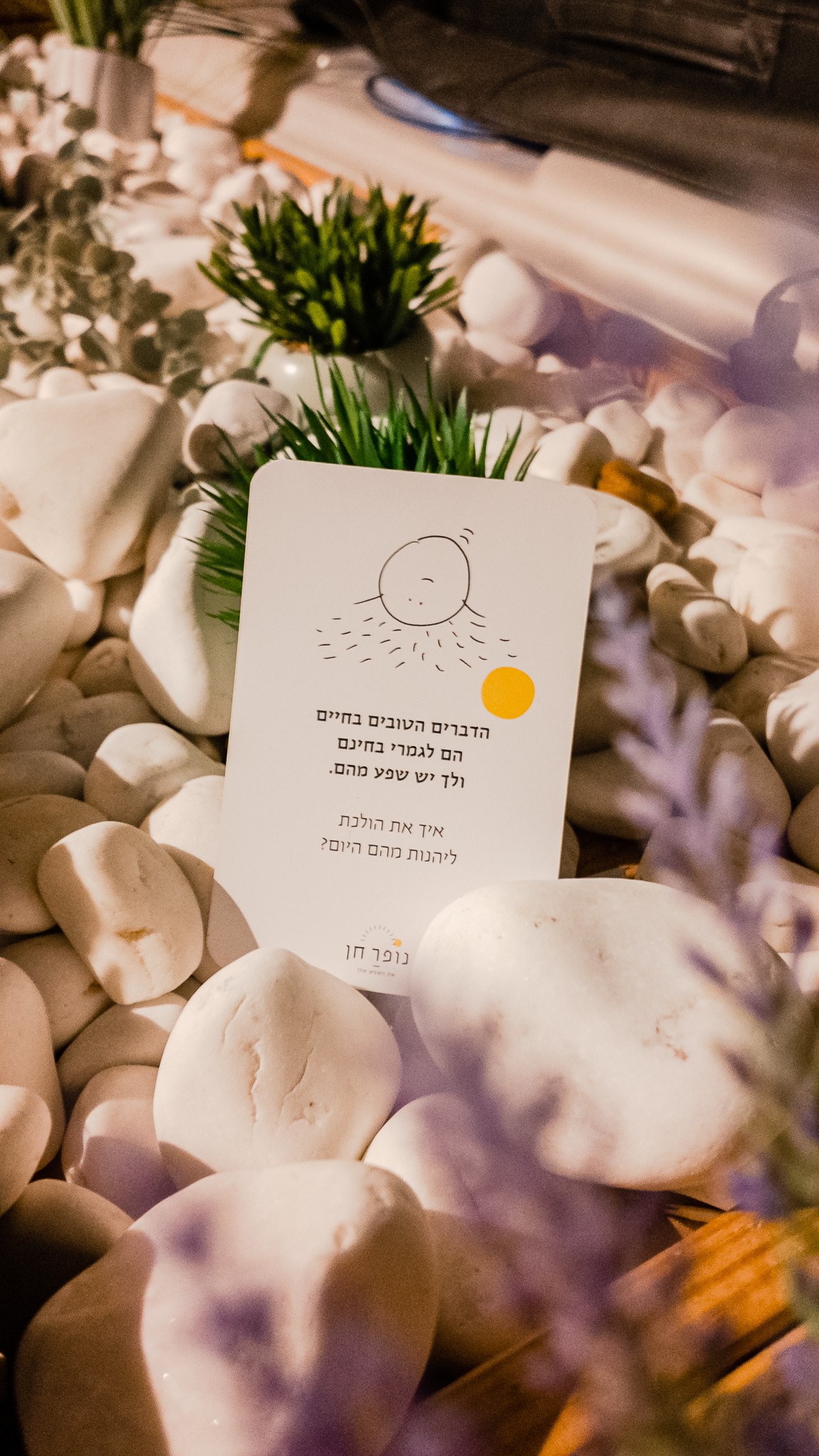 אננדו צימר עין שריד תמונה