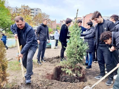 Активисты высаживают деревья и очищают общественные территории