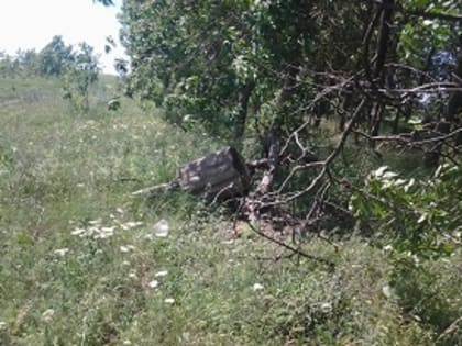 Управлением Россельхознадзора по Ставропольскому краю и Карачаево-Черкесской Республике выявлено захламление лесного насаждения