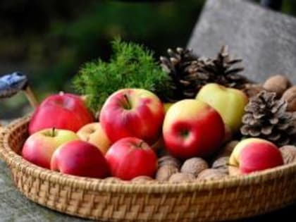 Городская продовольственная ярмарка (последняя в уходящем году) в  ближайшую субботу приглашает  пятигорчан и гостей города за покупками