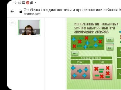 «Особенности диагностики и профилактики лейкоза КРС» – вебинар компании ВЕРУМБИО
