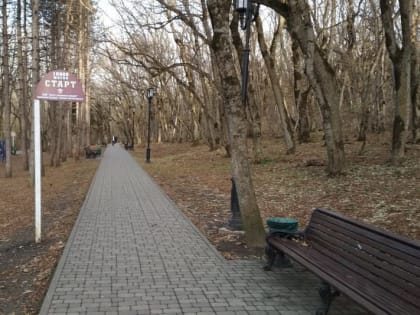 Такие полезные терренкуры: эксперт ПМФИ о пользе пеших прогулок