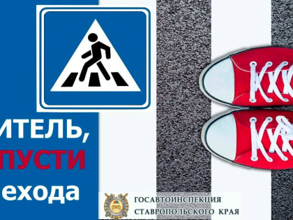 С 7 по 13 февраля на территории Андроповского округа стартует профилактическое мероприятие «ПЕШЕХОД!»