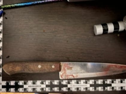 В Железноводске 17-летняя девушка ножом зарезала мать