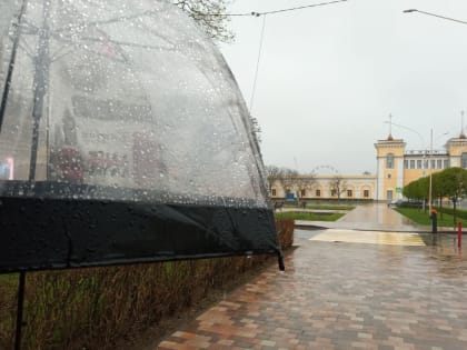 Дождь с грозой и градом прогнозируют на Ставрополье 19 июня