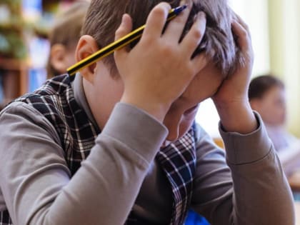 «Михайловск как отдельное государство»: ставропольцев не устроило отсутствие февральских каникул у детей