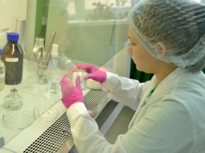 15.03.2023 на базе ГБПОУ «Александровский сельскохозяйственный колледж» завершился второй соревновательный день Регионального чемпионата «Профессионалы» Ставропольского края по ком