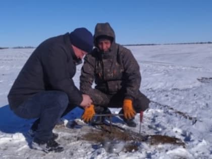 Друзья, а вот и результаты запасов продуктивной влаги