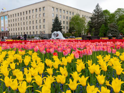 Ставропольские озеленители  украсили город к майским праздникам