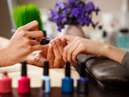 В Ставрополе 42% получивших соцконтракт открыли бизнес в сфере красоты