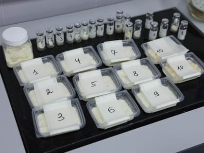 Продукты питания нового поколения: международный коллектив ученых СКФУ завершил проект в области микрокапсулирования