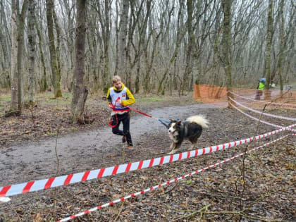 Чемпионат и Первенство Ставропольского края  по кинологическому спорту проходят в Пятигорске