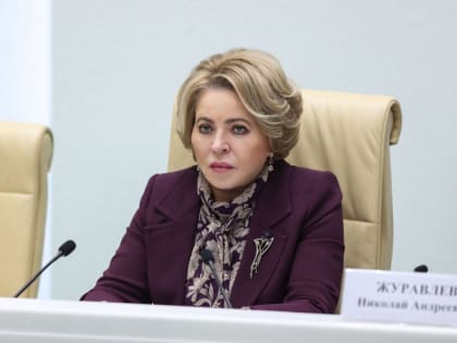 Эксперт: инициативу губернатора Ставрополья о проверках поддержали в Совфеде