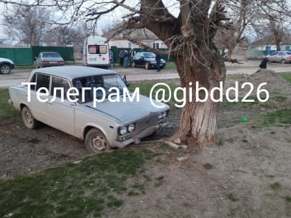 Водитель-бесправник сбила ребенка возле двора в Нефтекумском округе