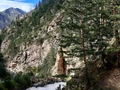 Лесопатологический мониторинг в Карачаево-Черкесской Республике