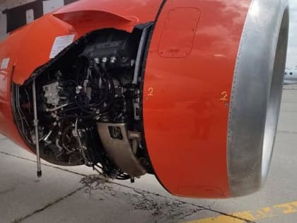 Следователями устанавливаются обстоятельства инцидента в аэропорту Минеральных Вод