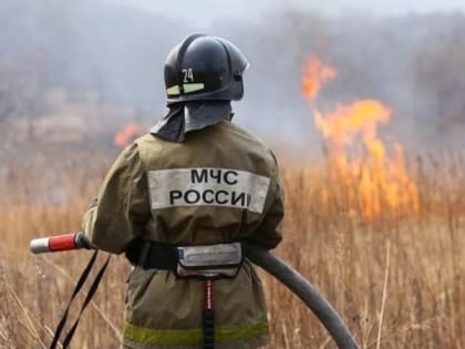 Пожарные Невинномысска тушили 2 га загоревшейся сухой растительности