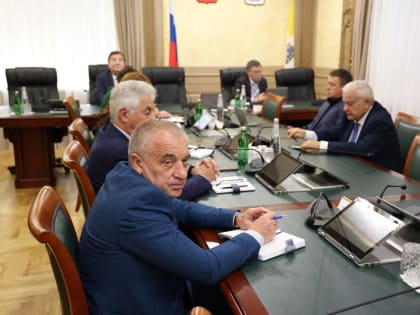 Краевые депутаты приняли участие в обсуждении основных параметров федерального бюджета