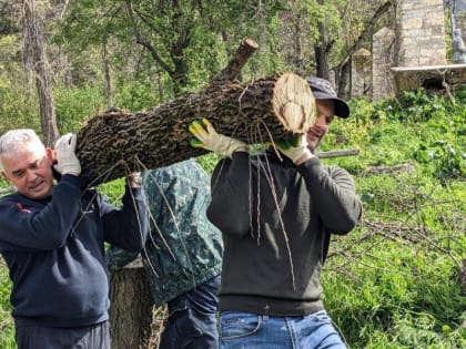 Более 10 тысяч человек собрал большой весенний субботник в Пятигорске