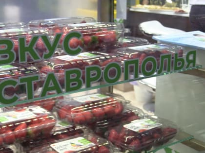 Ставропольские производители презентовали свою продукцию в Санкт-Петербурге
