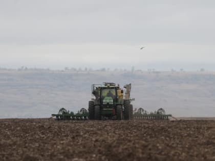 В Грачевском округе продолжаются осенне-полевые работы