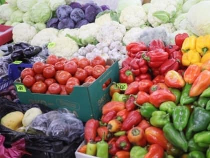 Полезные семена для здоровья: что выбрать для рациона