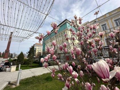 Почти 290 тысяч жителей Ставрополья проголосовали за проекты благоустройства