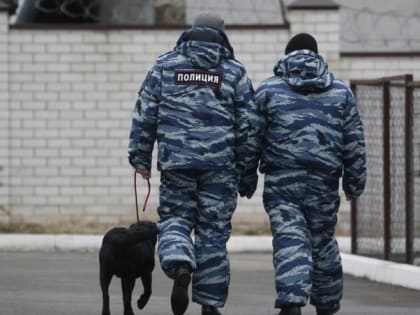 Все сообщения о минировании учебных заведений Кисловодска оказались ложными