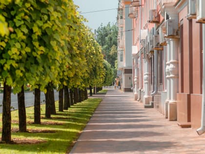 По какому принципу выбирают ставропольскую плитку?