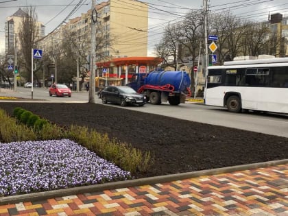 В Ставрополе появилась новая фактурная клумба площадью 100 кв.метров