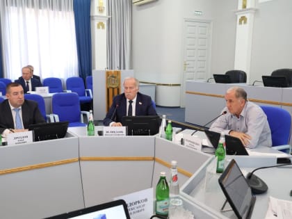 Вопросы совершенствования законодательства в области обращения с безнадзорными животными обсуждены в краевой Думе