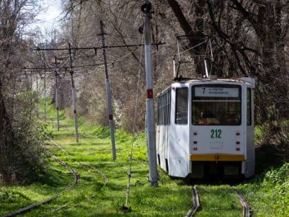 Пассажирка трамвая в Пятигорске упала и сломала плечо