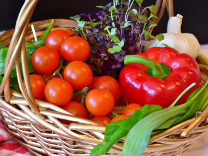 Продовольственную ярмарку проведут в Кисловодске в субботу