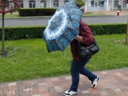 Дождь и шквальный ветер обрушатся на Ставрополье 14 апреля