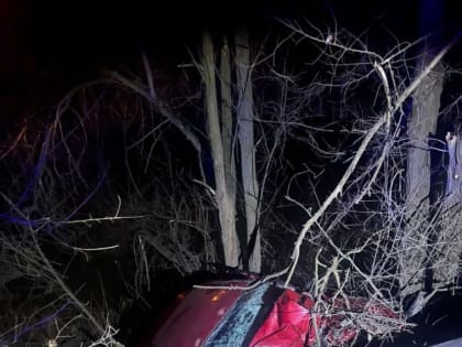 Уснувший за рулём водитель врезался в дерево в Будённовском округе