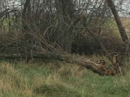 На Ставрополье юридическое лицо допустило повреждение мелиоративной системы