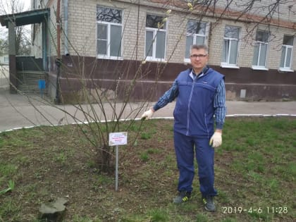 Построить дом, посадить дерево, родить ребенка!