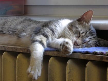 Отопительный сезон стартовал в Кисловодске