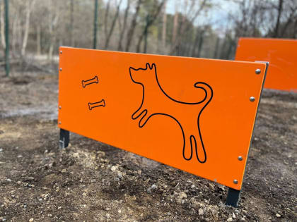 Собака несчастная очень опасна