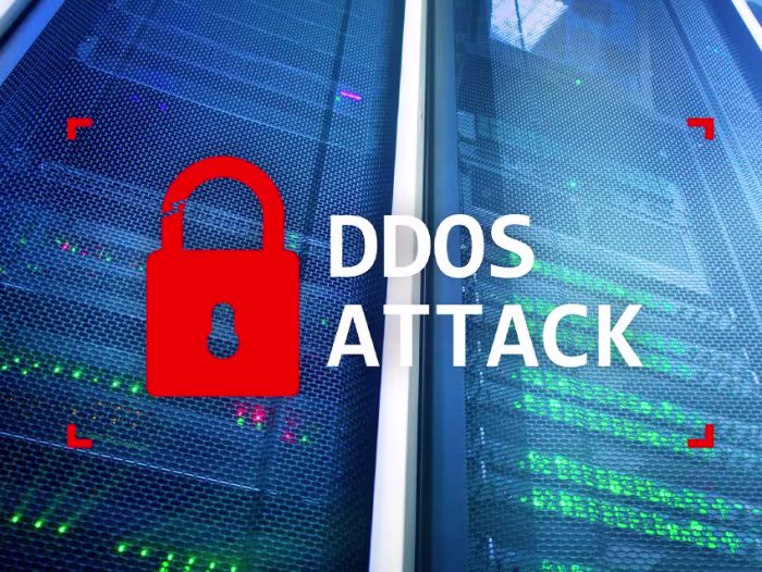Top 5 DDoS Attacks on the Education Sector in 2024: A Critical Review