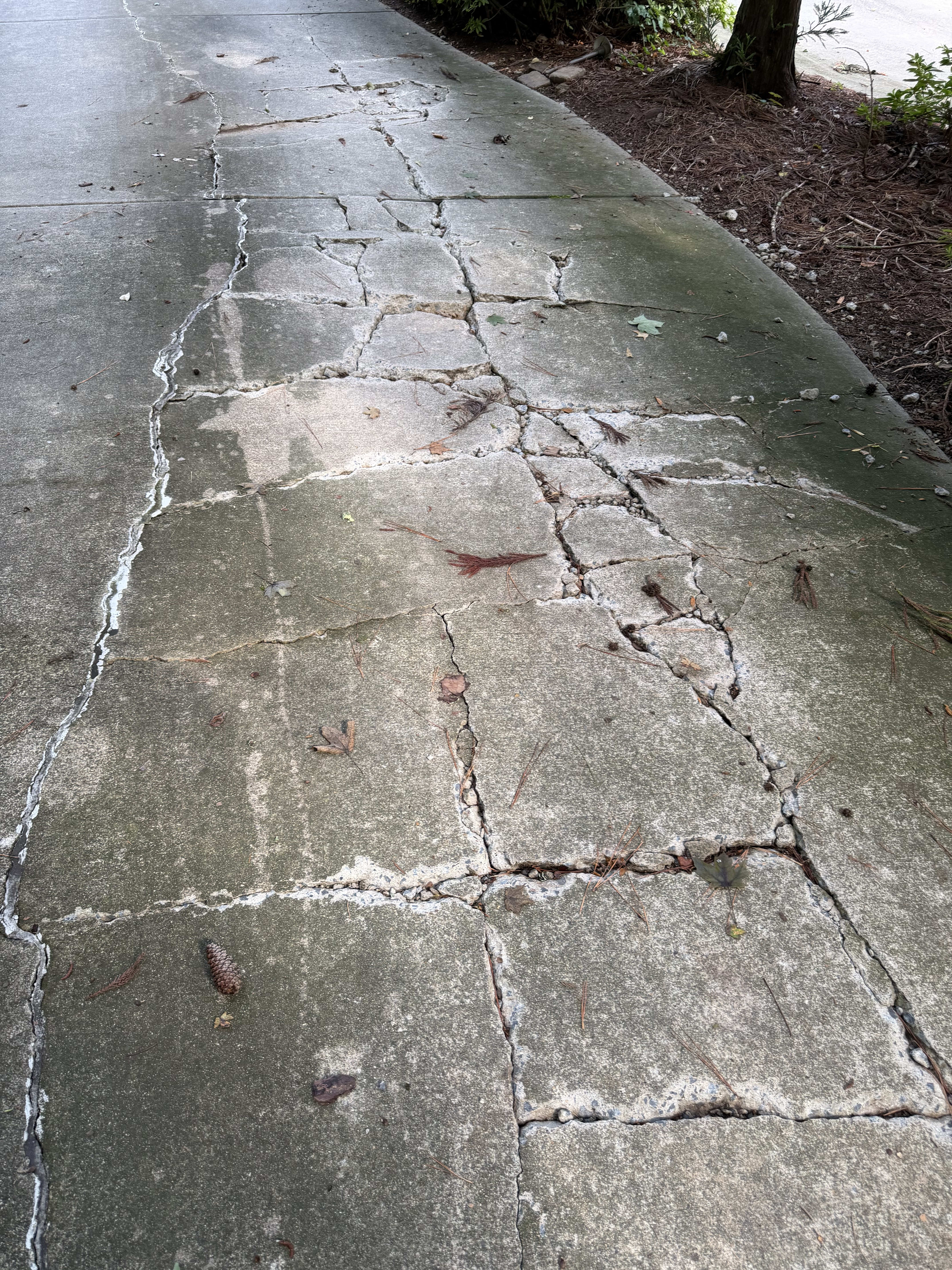 Driveway