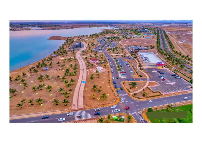 Assets Management and Infrastructure Advisory 